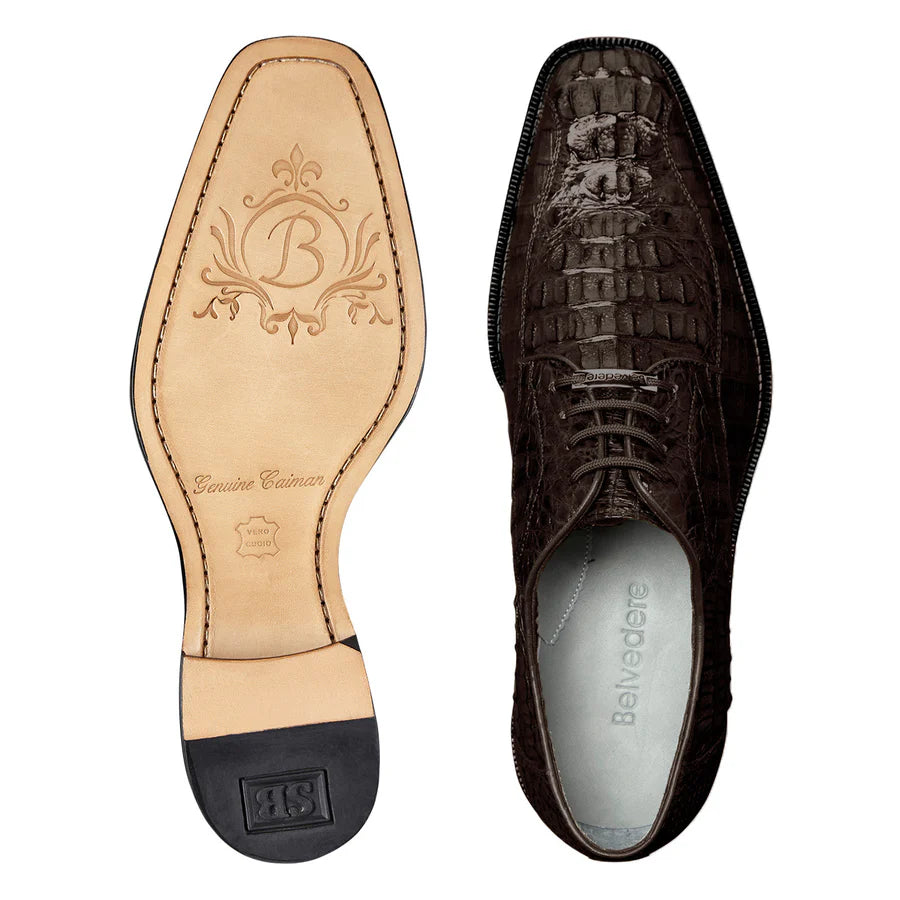 Chapo Brown Bicycle Toe