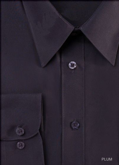 Daniel Ellissa Men's Dress Shirt